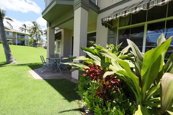 Enjoy a peaceful view of the back patio, a perfect outdoor space for relaxing and enjoying fresh air.