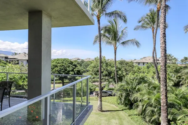 Palm-Filled Views From The Lanai