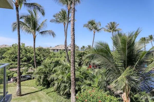 Tropical Views From Every Angle