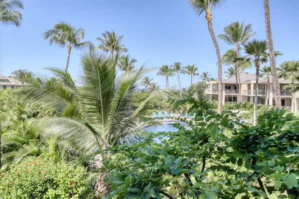 Resort Views Surrounded By Palms