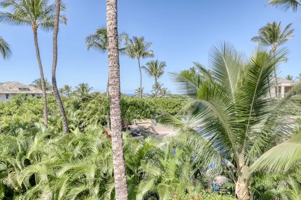 Lush Tropical Garden Views