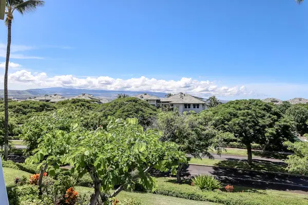 Lush Green Views All Around