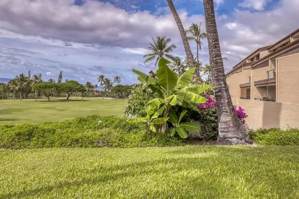 ​A peaceful view of the building surrounded by manicured lawns and swaying palms
