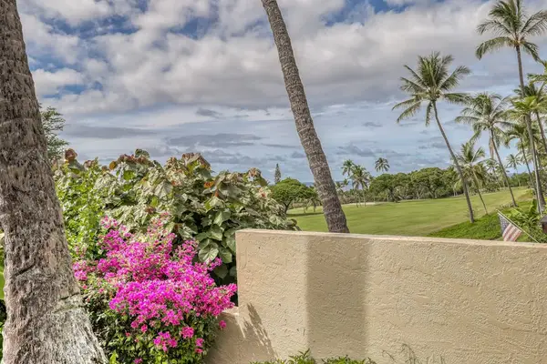 A picturesque backdrop of lush greenery and majestic palms right outside