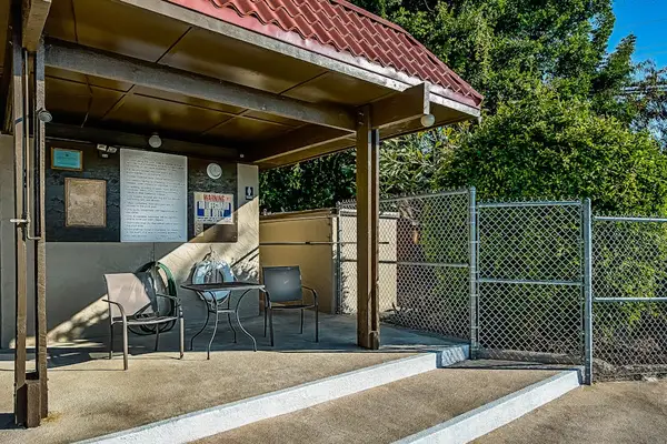 Outdoor Relaxation by the Pool