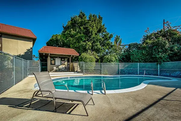 Lounge Poolside & Enjoy the Island Breeze