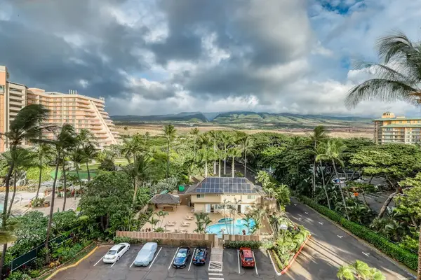 Resort Views Wrapped In Tropical Beauty