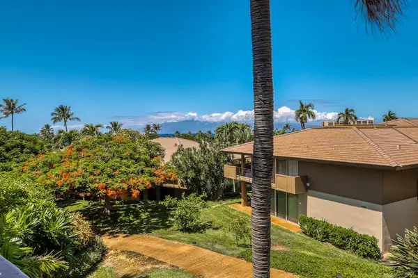 Lush Tropical Views Beyond Your Window
