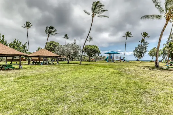Stroll Through Beautiful Tropical Landscaping