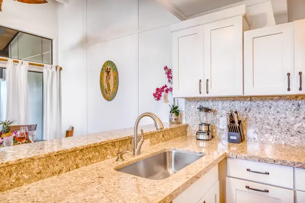 Kitchen Sink & Granite Countertops