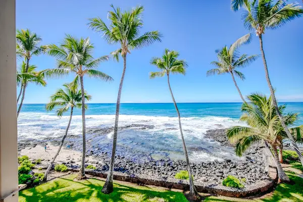 Swaying Palm Trees Framework Your Infinite Ocean View