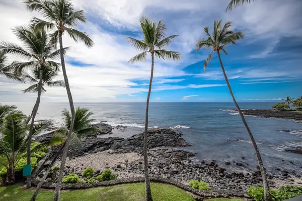 Swaying Palm Trees Frame The Infinite Turquoise Ocean View