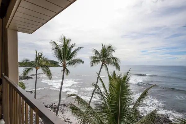 Private lanai view through the palm trees, overlooking the ocean.