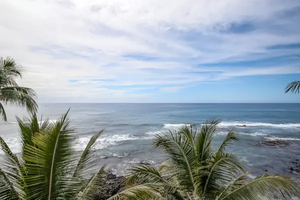 Ocean view through swaying palm trees near the property.