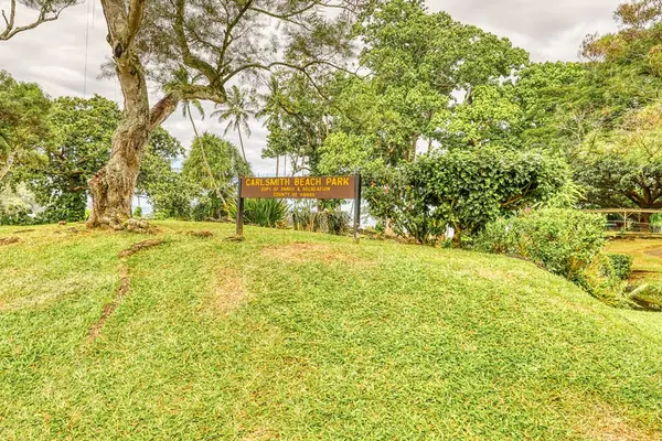 Expansive Lawn With Tropical Landscape