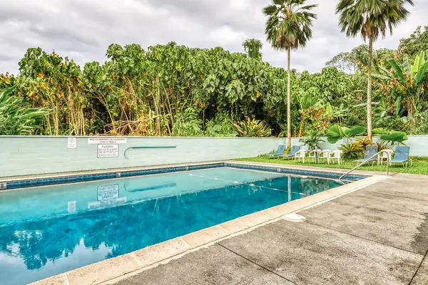 Sparkling Pool Surrounded By Palm Trees