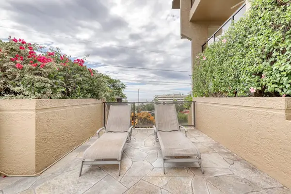​Private outdoor patio featuring stone paving, comfortable sun loungers, privacy fencing, and beautiful green landscaping accents! ☀️🌿