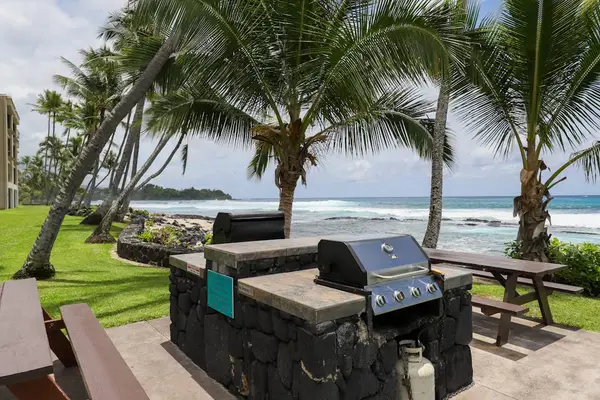 Premium beachside BBQ grill and outdoor picnic dining area under tropical palm trees! 🌴🔥🍖