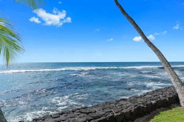 Beautiful tropical waterfront view featuring crashing ocean waves, a rugged rocky coast, and iconic leaning palm trees under a sunny sky! 🌊🌴☀️✨