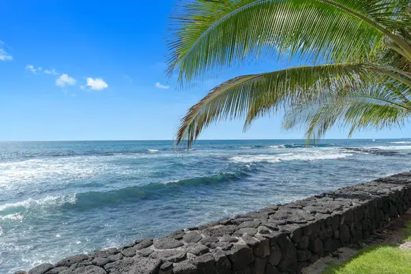 Stunning tropical view of ocean waves crashing along the beautiful rocky coast! 🌊🌴😎