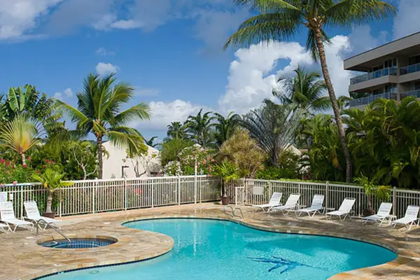 Resort Pool Surrounded By Tropical Palms