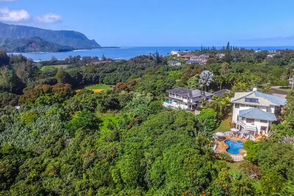 Elevated Tropical Estate Panorama
