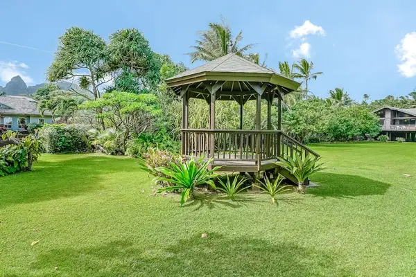 Expansive Backyard & Tropical Garden Retreat