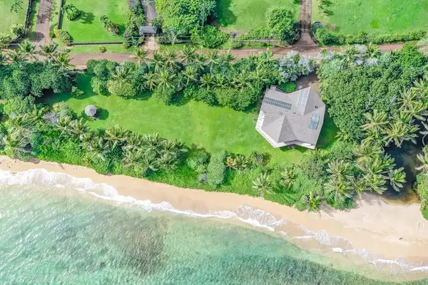 Expansive Backyard & Tropical Grounds from Above