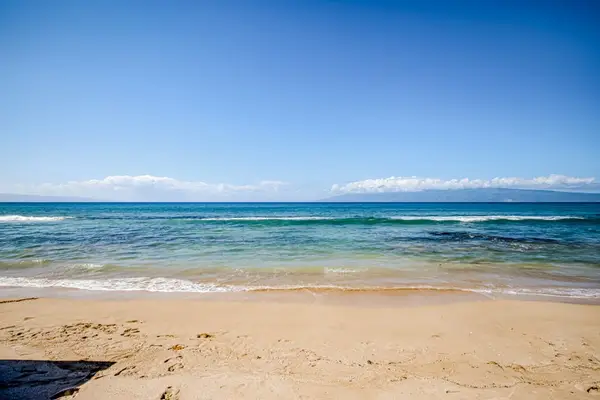 Stroll Along Maui's Golden Shoreline