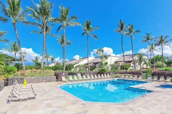 Sparkling Resort Pool Surrounded By Palms