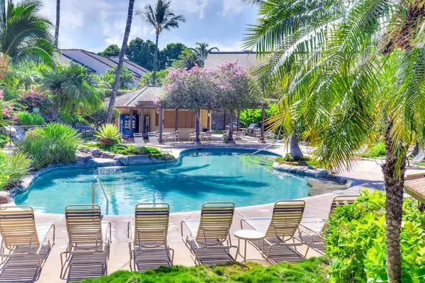 Resort Pool Surrounded By Tropical Palms