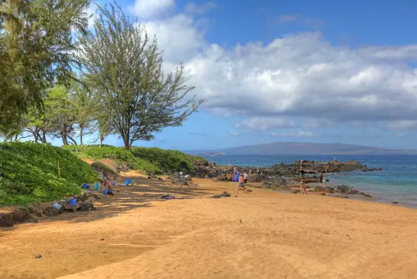 Every corner offers peaceful views and tropical charm