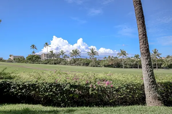 Lush Tropical Views All Around