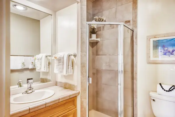 Spa-Inspired Walk-In Shower