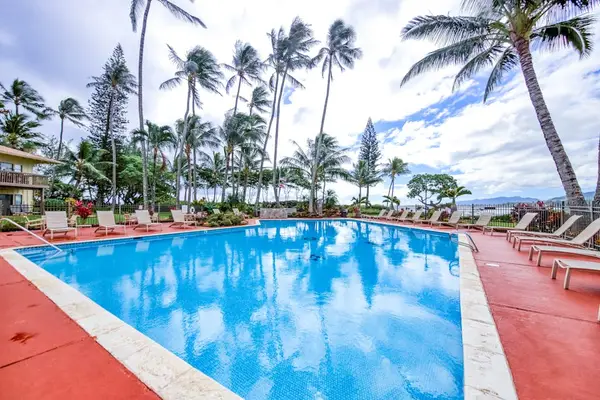 Resort Pool With Swaying Palms