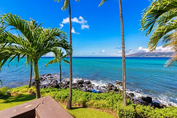 Palm Lined Oceanfront Path