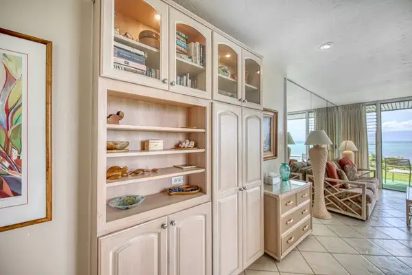 Built-in living space showcases shelving, soft seating, and natural light