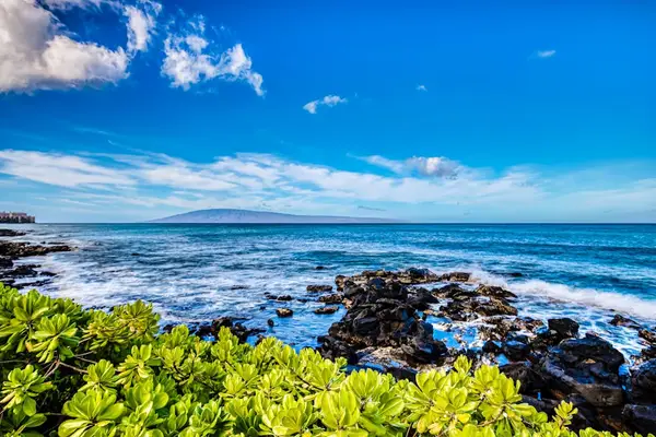 Ocean vista highlights rocky beaches, gentle waves, and coastal greenery