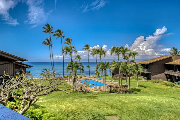 Resort Pool Surrounded By Palms