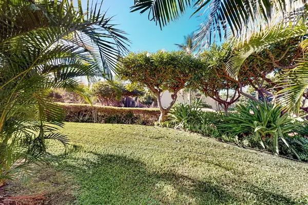 Lush Tropical Garden Escape