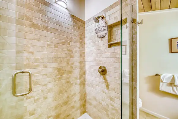 Elegant Walk-In Shower