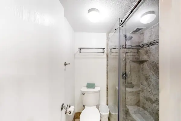 Walk-In Shower With Contemporary Finishes