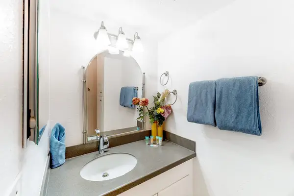 Fresh Bathroom With Modern Vanity