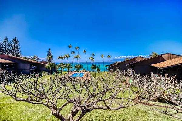 Tropical Resort Garden Views