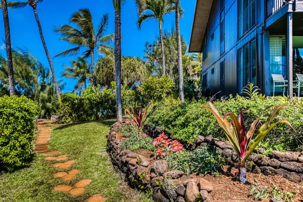 Lush Tropical Garden Pathway