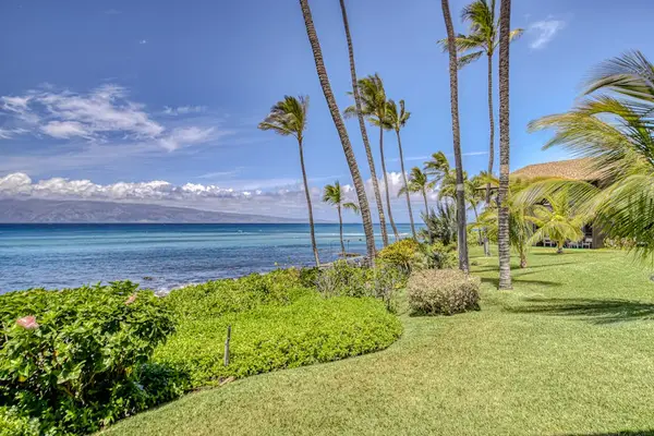 Oceanfront Lawn With Swaying Palms