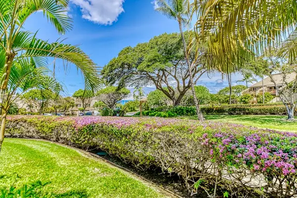 Beautiful tropical gardens surround the property