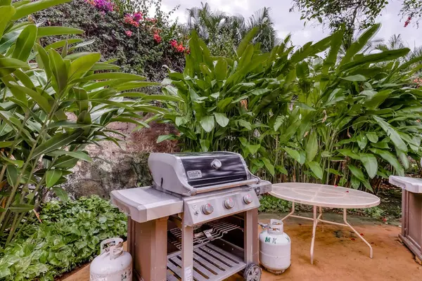 Sizzle up delicious meals on the BBQ grill