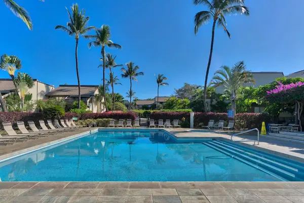 Spacious pool surrounded by tropical palms