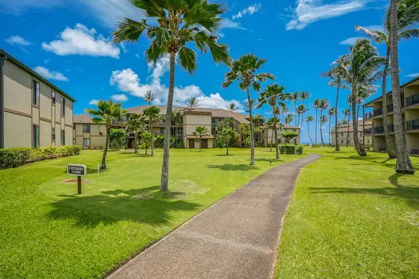 Palm-Lined Courtyard Walking Path